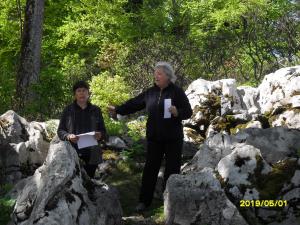 Organizatorici postavitve